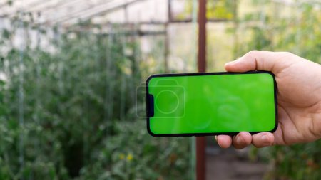 Künstlich intelligentes Managementsystem in der Landwirtschaft. Smart Gardening zu Hause. Leere grüne Bildschirm Chroma Schlüssel Handy Probe. Futuristische ai-Technologien in der Landwirtschaft. 