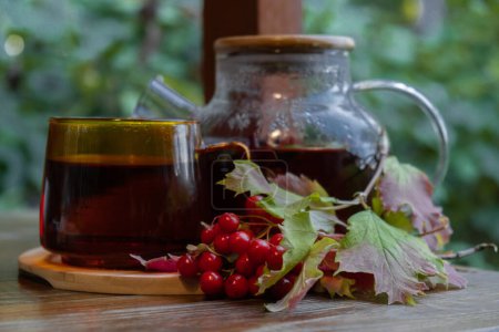 Guelder rose Viburnum red berries tea still life on table in green garden background. Healthy hot drink benefits. Natural organic aromatic drink in cup. Home-grown immunity-boosting herbs for tea