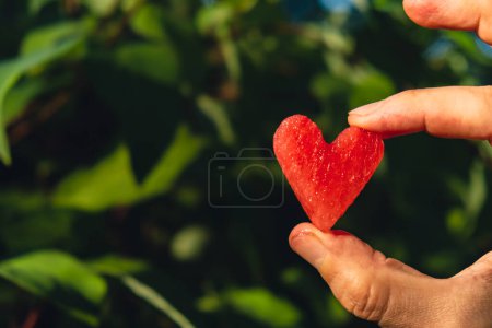 Man holding red watermelon slice cut into heart shape in green garden background. Valentines Day love concept. Sunset outdoors summer day. Healthy seasonal local food. Traditional