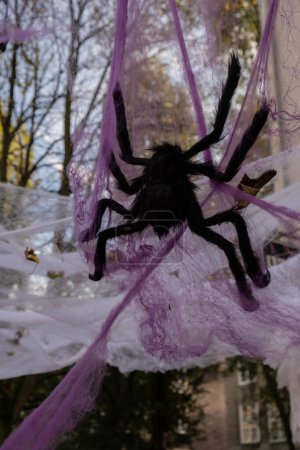 Außen atmosphärische halloween violette Spinnennetz auf der Veranda Feier Urlaub für Party-Dekor dekoriert. Erntedank Oktober Saison im Freien in der Stadt