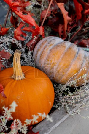 Group of orange pumpkins in autumn outside. Thanksgiving or Halloween holiday autumn decoration. House entrance in festive seasonal decor. Autumn atmosphere aesthetic