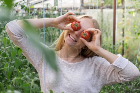 Porträt einer blonden Frau, die im Gewächshaus rote reife Bio-Tomaten erntet und Spaß hat. Gesundes hausgemachtes Nahrungsmittelkonzept. Landleben in Cottagecore 