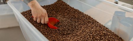 Close up of baristas hands packing roasted coffee beans into packages for sale in a warehouse