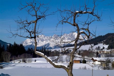 Photo for Austria, snow covered landscape in ski resort Pillersee Valley in North Tyrol with Wilder Kaiser Mountain - Royalty Free Image