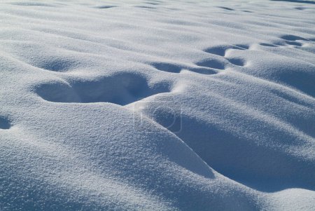 Photo for Austria, animal tracks in freshly fallen snow in ski resort Pillersee Valley in North Tyrol - Royalty Free Image