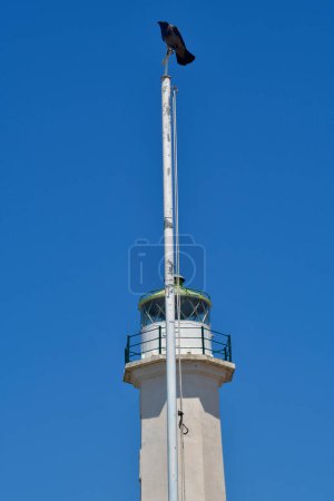 Photo for Greece,  Raven perched on flagpole in front of Possidi lighthouse on Kassandra peninsula in Chalkidiki - Royalty Free Image