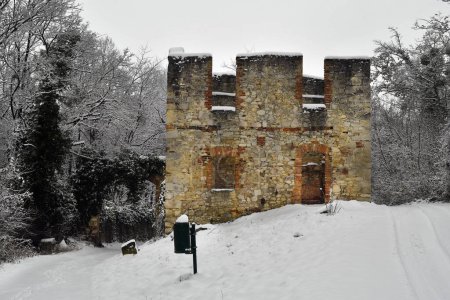 Austria, snow-covered ruins of the Leopold Chapel from the 17th century in the Mannersdorf Wueste nature reserve