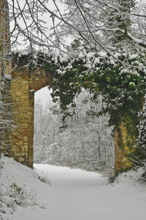 Austria, ruinas nevadas de la Capilla de Leopoldo del siglo XVII en la reserva natural de Mannersdorf Wueste