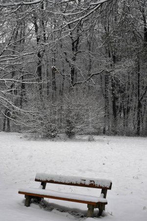 Austria, Snow-covered park bench on a walking path in the Mannersdorf Desert Nature Park