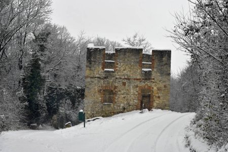 Austria, Snow-covered forest road with ruin of Leopold Chapel, a former place of worship in the Mannersdorf-Wueste nature park