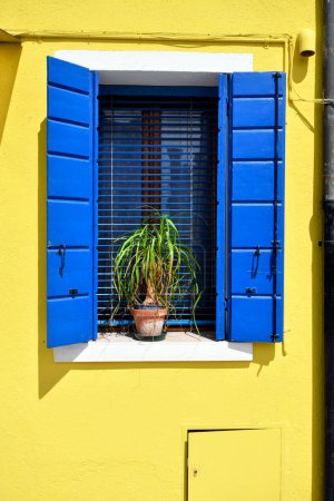 Burano, Italien - 17. April 2024: Elefantenfutterwerk in gelb gestrichenem Haus mit blauen Fensterläden auf der wunderschönen Insel nahe Venedig 