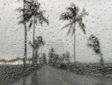 Foto de Vista de la carretera tropical a través del parabrisas en días lluviosos - Imagen libre de derechos
