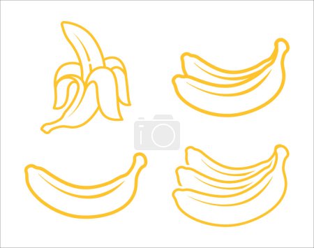 Foto de Icono de vector de plátano establecido en estilo lineal. Colección de iconos lineales de fruta de plátano. Banana icono vector conjunto aislado sobre fondo blanco. Ilustración vectorial - Imagen libre de derechos