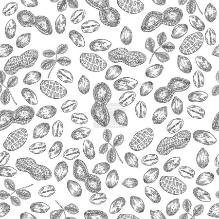 Illustration for Peanut seamless pattern. Hand drawn Peanuts nuts and leaves. Vector illustration black and white. - Royalty Free Image