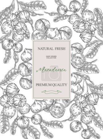 Macadamianuss-Hintergrund. Handgezeichnete Macadamia-Nüsse und -Blätter. Vektorabbildung schwarz-weiß.