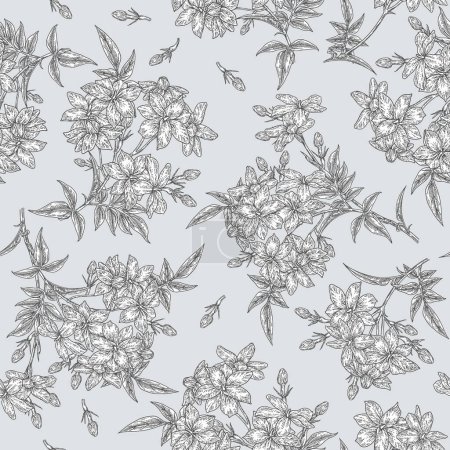 Jasminblüten nahtloses Muster. Blüten der Jasminum officinale Pflanze auf hellgrauem Hintergrund. Vektorillustration. Handgezeichneter Gravurstil.