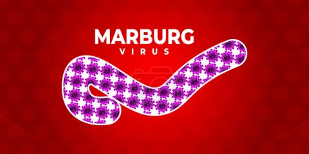 Symptoms or precautions. MARBURG virus outbreak pandemic design with microscopic view background. Vector Illustration. Marburg virus banner for awareness and alert against disease spread.