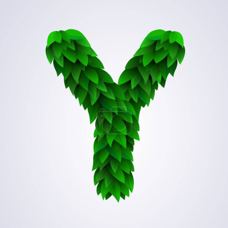Illustration for Alphabet letters made from fresh green leafs. Letter Y. Vector illustration - Royalty Free Image