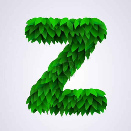 Illustration for Alphabet letters made from fresh green leafs. Letter Z. Vector illustration - Royalty Free Image