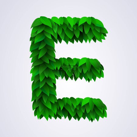 Illustration for Alphabet letters made from fresh green leafs. Letter E. Vector illustration - Royalty Free Image