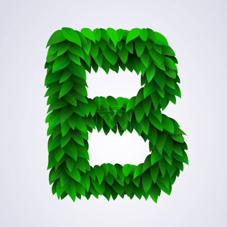 Illustration for Alphabet letters made from fresh green leafs. Letter B. Vector illustration - Royalty Free Image