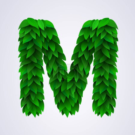 Illustration for Alphabet letters made from fresh green leafs. Letter M. Vector illustration - Royalty Free Image