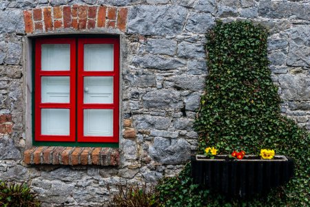 Photo for Red window in old stone wall, with white wooden shutters behind and black window style box with red and yellow primroses and green ivy. - Royalty Free Image