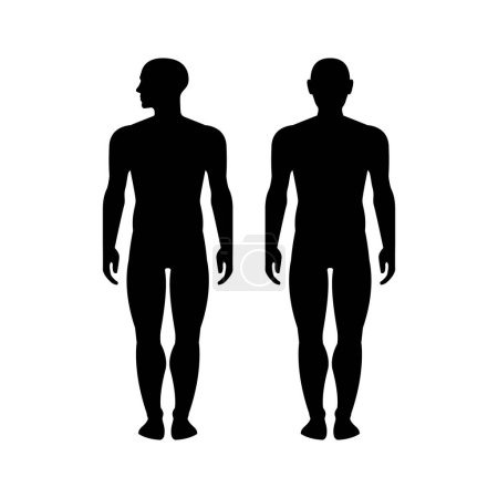 Ilustración de Man human body glyph icon isolated on white. Vector illustration - Imagen libre de derechos