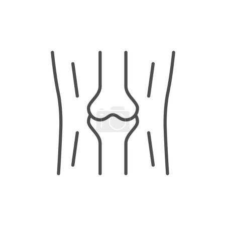 Ilustración de Icono del contorno de la línea conjunta de rodilla aislado en blanco. Ilustración vectorial - Imagen libre de derechos