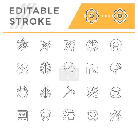 Set line icons of neurology isolated on white. Human brain, nerve, medical test, anatomy, nervous system, synapse. Editable stroke. Vector illustration