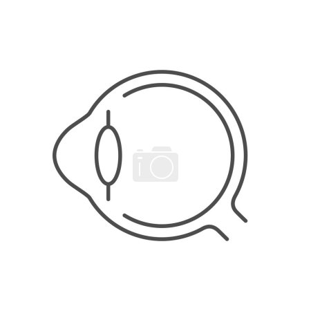Illustration for Keratoconus disease line outline icon isolated on white. Vector illustration - Royalty Free Image