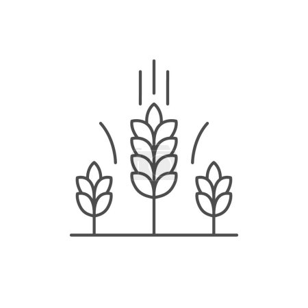 Illustration for Wheat ears line outline icon isolated on white. Vector illustration - Royalty Free Image