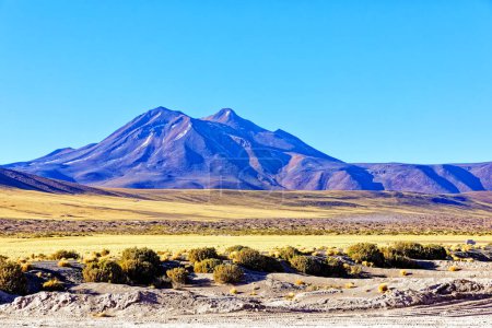 Photo for Landscapes on the way to the Altiplanic Lagoons in the Atacama Desert - San Pedro de Atacama - Chile - Royalty Free Image