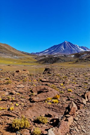 Photo for Piedras Rojas - Atacama Desert - San Pedro de Atacama. - Royalty Free Image