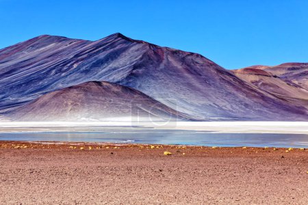 Téléchargez les photos : Piedras Rojas - Désert d'Atacama - San Pedro de Atacama. - en image libre de droit