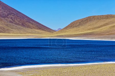 Téléchargez les photos : Lagune altiplanique des Miniques dans le désert d'Atacama - San Pedro de Atacama. - en image libre de droit