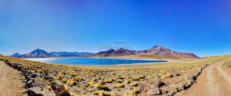 Téléchargez les photos : Lagune altiplanique Miscanti dans le désert d'Atacama - San Pedro de Atacama. - en image libre de droit