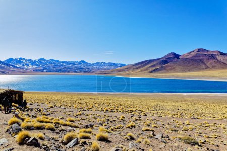Photo for Miscanti Altiplanic Lagoon in the Atacama Desert - San Pedro de Atacama. - Royalty Free Image