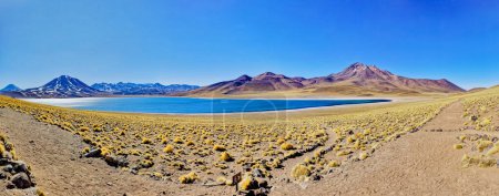 Foto de Laguna Altiplánica Miscanti en el Desierto de Atacama - San Pedro de Atacama. - Imagen libre de derechos
