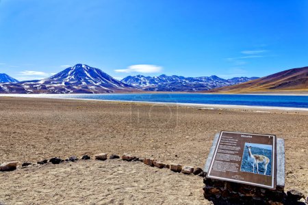 Photo for Miscanti Altiplanic Lagoon in the Atacama Desert - San Pedro de Atacama. - Royalty Free Image