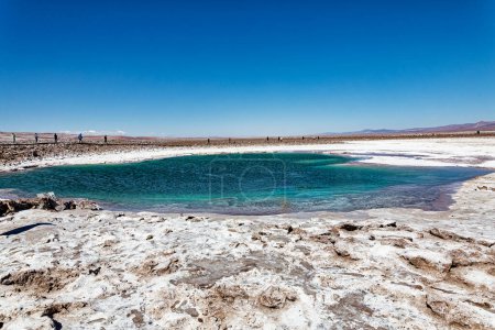 Téléchargez les photos : Paysage des lagunes cachées de Baltinache - Désert d'Atacama - Chili - San Pedro de Atacama - en image libre de droit