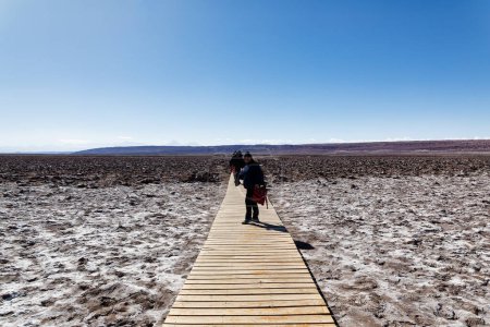 Téléchargez les photos : San Pedro de Atacama - El Loa - Antofagasta Region - Chili Laguna Escondida de Baltinache - en image libre de droit
