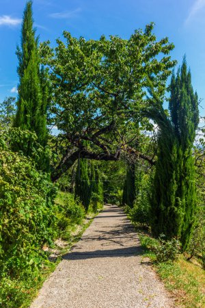 Téléchargez les photos : Vues et lignes dans un parc verdoyant à Lyon, France - en image libre de droit