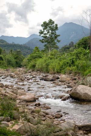Téléchargez les photos : Flow of stream water from the mountain.at Promkiri, Nakhonsithammarat - en image libre de droit