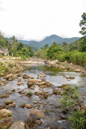Téléchargez les photos : Flow of stream water from the mountain.at Promkiri, Nakhonsithammarat - en image libre de droit