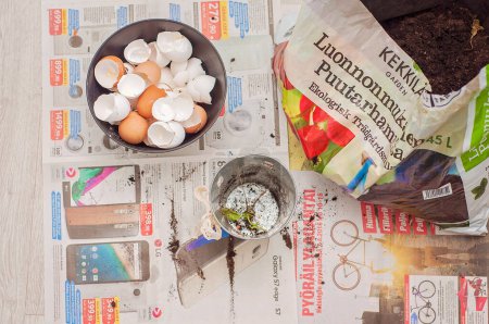 Photo for Bag of potting soil, bowl of eggshells and a plant pot on some newspaper. Eggshells will be crushed and mixed with the soil to work as a natural fertilizer. Indoor gardening and homegrown vegetables. - Royalty Free Image