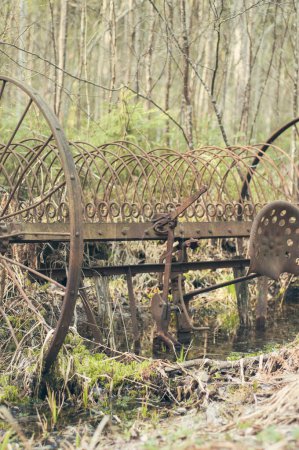 Photo for Rusty hay rake forgotten in the Finnish forest. Old horse drawn farming equipment ingrown in grass and moss. - Royalty Free Image