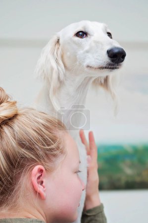Foto de Chica sosteniendo y abrazando a un perro saluki blanco. Galgo persa siendo retenido y amado por una mujer. Perro y el propietario abrazos, lindo retrato tomado en el interior de casa. - Imagen libre de derechos