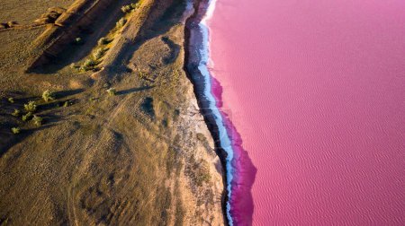 Malerisch bunte rosa Salzsee in der Ukraine. ungewöhnliche Farbe Ursache einer Alge mit roten Pigmenten. Erstaunliche Meereslandschaft.
