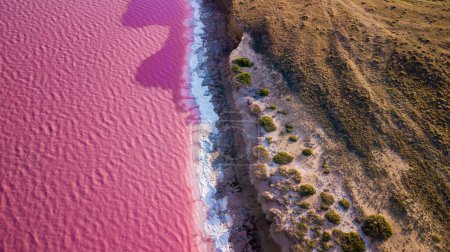 Téléchargez les photos : Lac salé rose pittoresque et coloré en Ukraine. cause de couleur inhabituelle d'une algue avec des pigments rouges. Paysage marin incroyable. - en image libre de droit